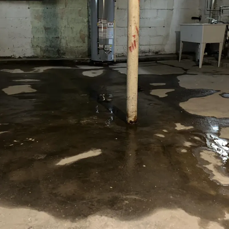 Emergency Water Extraction And Removal in Clark Mills, NY